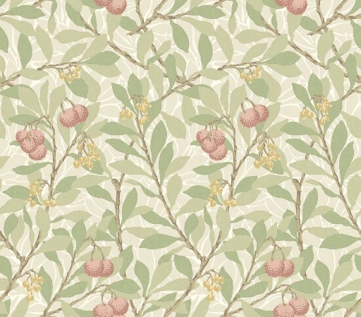 Afbeeldingen van Arbutus Fennel/Coral - MOX0137-01